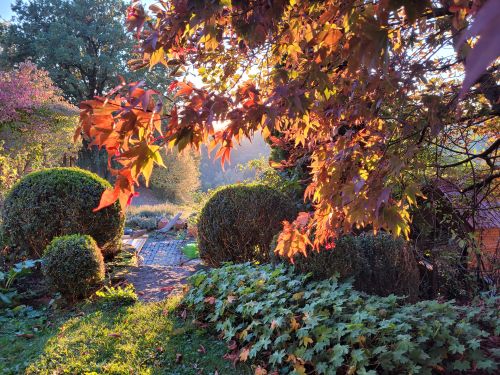 herbst garten