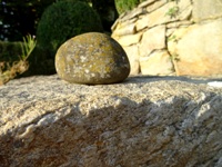 stein in abendsonne garten