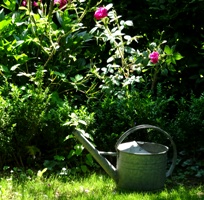 garten gießkanne