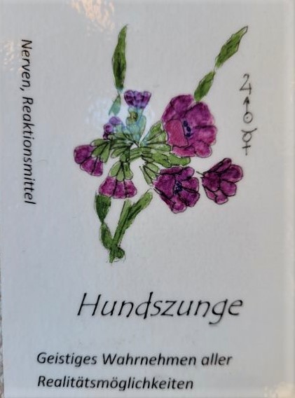 hundszunge kräuterkarte