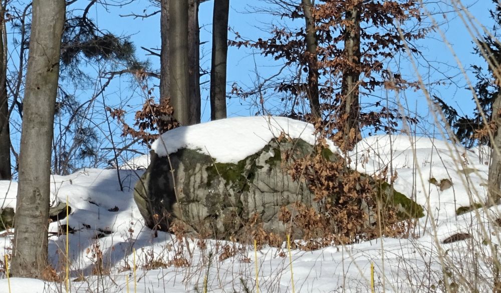 drachenkopf im schnee