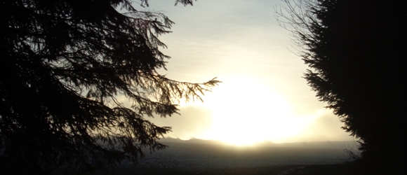 zwischenlicht