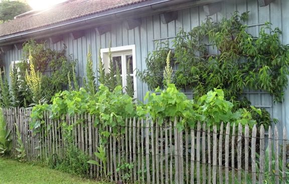 zaun an der garten grenze
