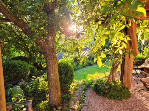 sonnen moment im garten