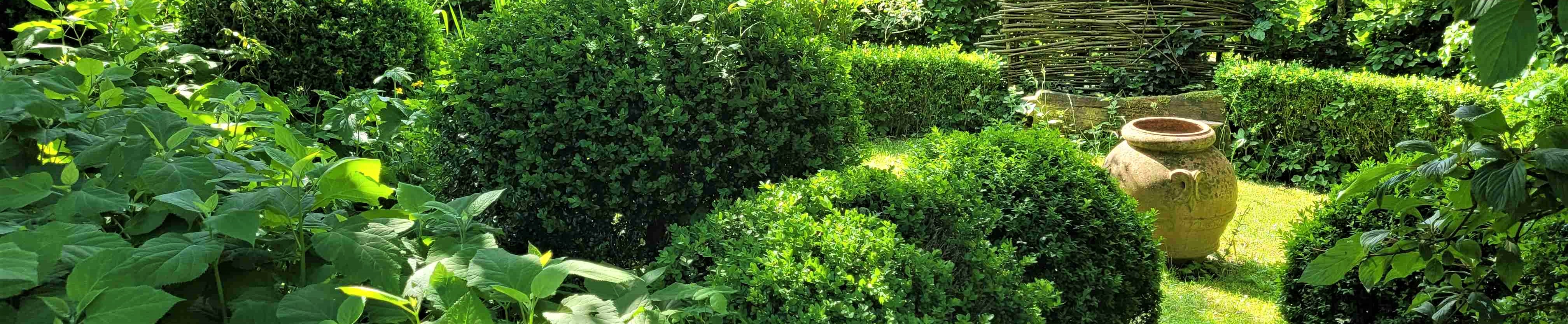 gartenbilder