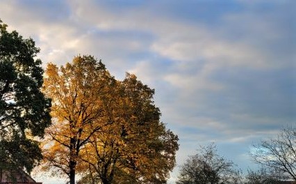 herbstlicht