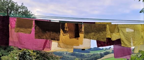 pflanzen farben herbst