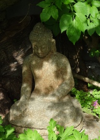 buddha