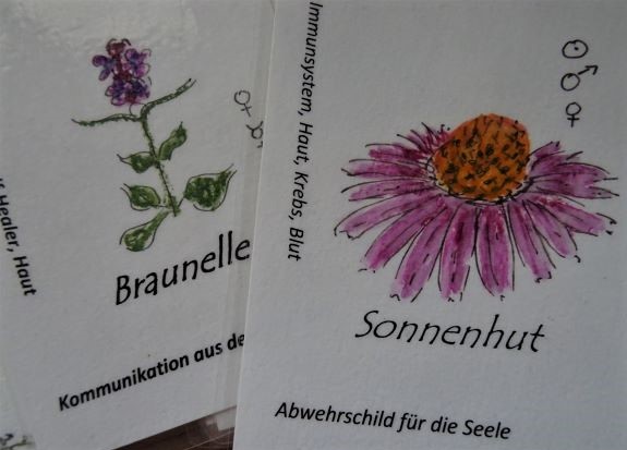 kräuterkarten astrologie