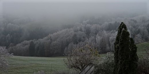 winter nebel blick