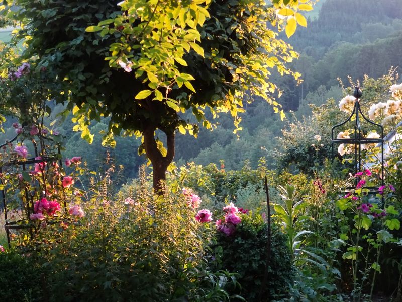 gartenatmosphäre