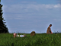 Kräuterhex am wiesenberg
